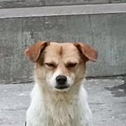 ElegantCoder的个人资料头像