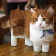 李实的个人资料头像