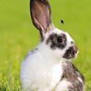 繁华落时光头像