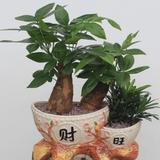 引剑闻天下头像