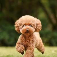 與世無爭556头像