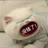 缺德地图导航中头像