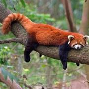 用户5124779923815的个人资料头像