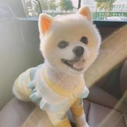 Freedom_courage的个人资料头像
