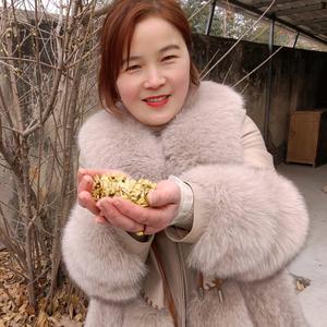 乘风破浪陈梅花头像