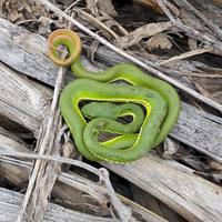 低调31209953头像