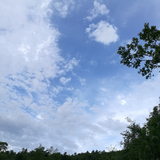 哈哈27825头像