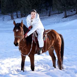 养了两只狗的马术骑手