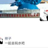 优雅的刺猬127127头像