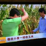 AIM辉头像