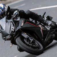 橙子阿橙子吖头像