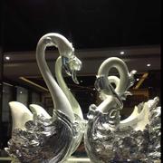 micropu的个人资料头像