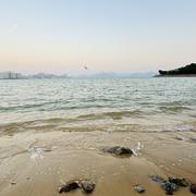 tanmy的个人资料头像