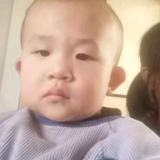 悠闲朝阳8r头像