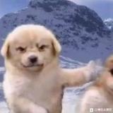 用户5533193100921头像