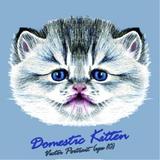 安然如斯淡若尘头像