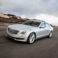 凯迪拉克北美官方头像