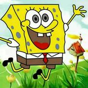 拂晓306的个人资料头像