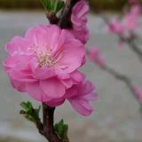 轮回头像