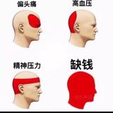 苏召45头像