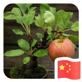 幸福没有捷径只有用心经营922头像