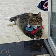 xiaohajiayou的个人资料头像