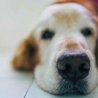 漸漸不見S4头像