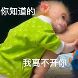不要蕉绿辣头像