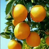 勇往直前一个浪头像