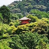 仔宝先生头像