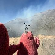 Joy杉磊的个人资料头像