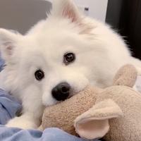 0司马当活马懿0头像