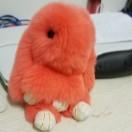 懋之懋续的个人资料头像