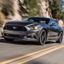 aivend的个人资料头像