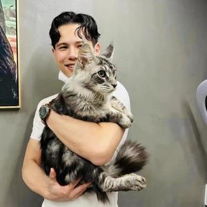 上海harry专注18-70女士发型设计头像