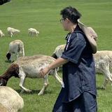 与梦再见头像