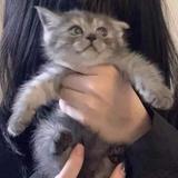 、头像