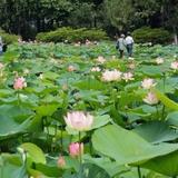 贰月拾肆368头像