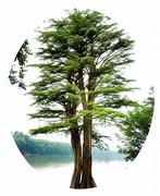 观_澜的个人资料头像