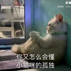 阿小新头像