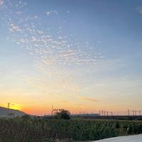 行走的后腿肉头像