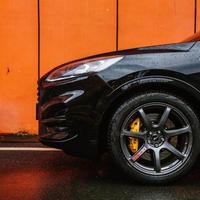 结局的福克斯头像