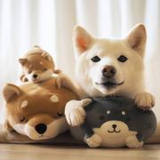 狗勾漂流瓶签收员的个人资料头像