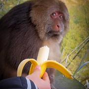 波罗蜜多十的个人资料头像