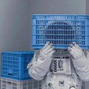 AquantumA的个人资料头像