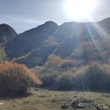 太阳墓地头像
