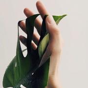 jl_ok的个人资料头像