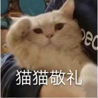 起风了嘛嘛头像