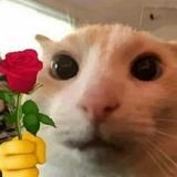 南昌陈冠希c头像