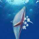 青山太常令头像